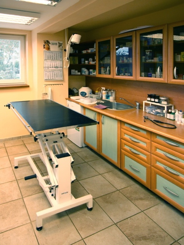 Veterin�rn� ordinace Boskovet - hlavn� vy�et�ovna / o�t�ovna