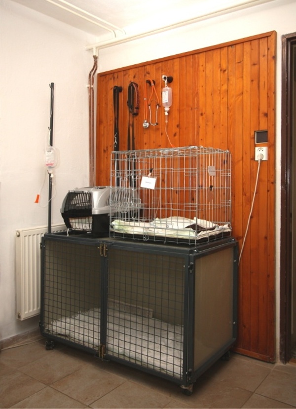 Veterin�rn� ordinace Boskovet - m�stnost pro hospitalizaci